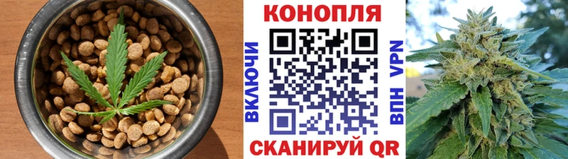 Canna-Cookies конопля  цена наркотик  hydra   Камышин 