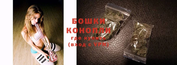 ПСИЛОЦИБИНОВЫЕ ГРИБЫ Лиски