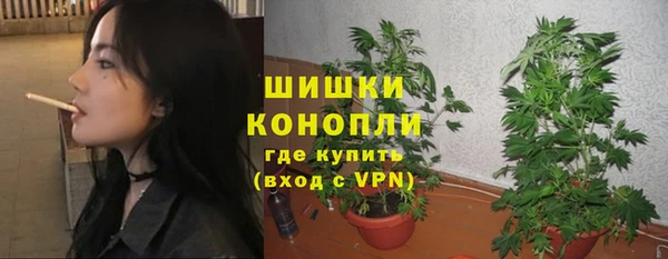 ПСИЛОЦИБИНОВЫЕ ГРИБЫ Лиски