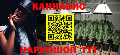 шишки Донской