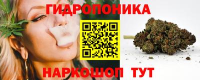 прущие крисы Дубна