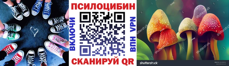 Псилоцибиновые грибы мицелий  blacksprut сайт  Камышин 