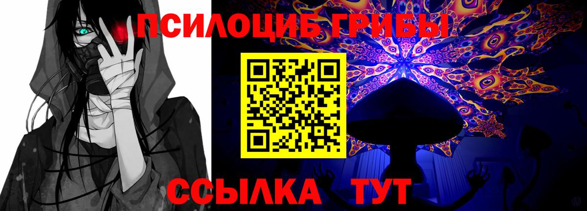 Галлюциногенные грибы Cubensis  Вход с VPN  Камышин 