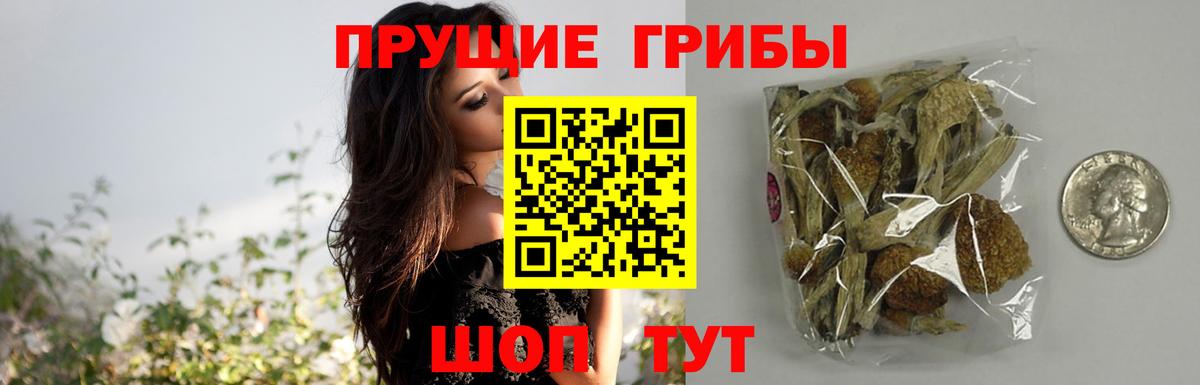 Псилоцибиновые грибы мухоморы Камышин